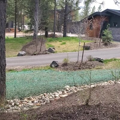 Suburban area with house, hydroseeded lawn, rocks, and trees.