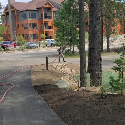 Person watering garden near building with pine trees.