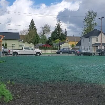Freshly hydroseeded lawn in a residential neighborhood.