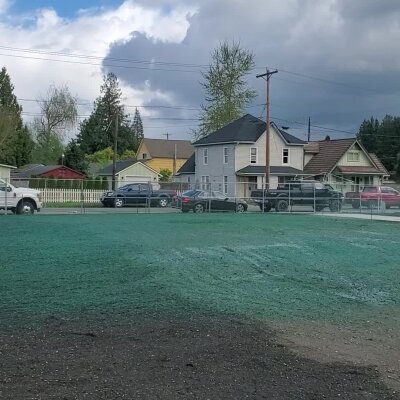 Freshly hydroseeded lawn with houses in the background in Washington State.