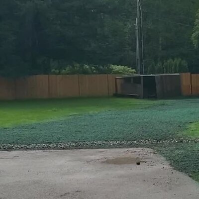 Freshly hydroseeded lawn in residential backyard with wooden fence.