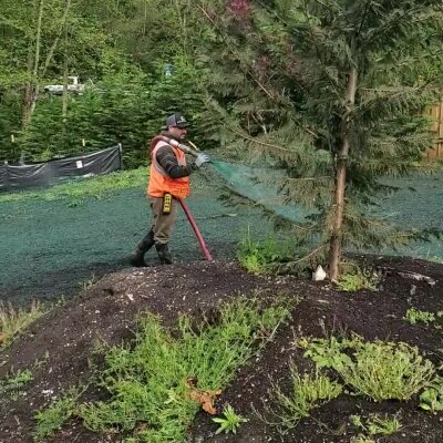 Worker applying hydroseed mix to residential lawn in Washington State.
