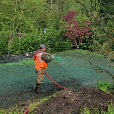 Worker applying hydroseed mixture to soil in Washington forest setting.