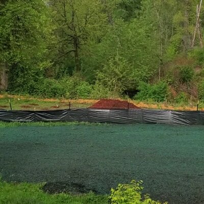 Hydroseeded lawn in progress with surrounding greenery in Washington State.