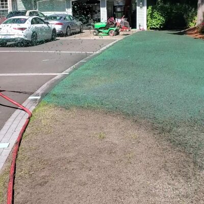 Hydroseeding process for new lawn installation at residential area.