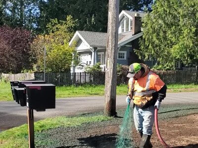 Worker applying hydroseed mixture to residential lawn in Washington State.