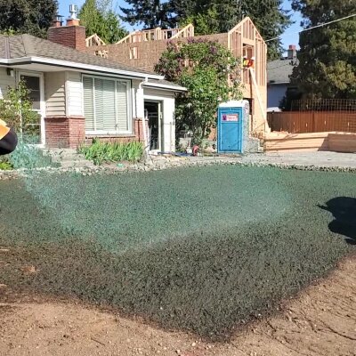 Hydroseeding process on residential lawn in Washington State.