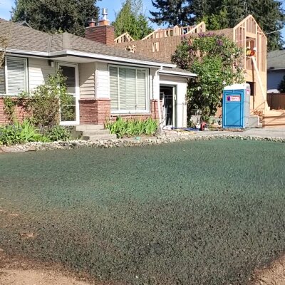 Freshly hydroseeded lawn in front of a suburban house with construction in background.