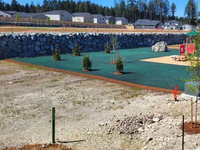 Hydroseeded lawn at new housing development with playground and retaining wall.