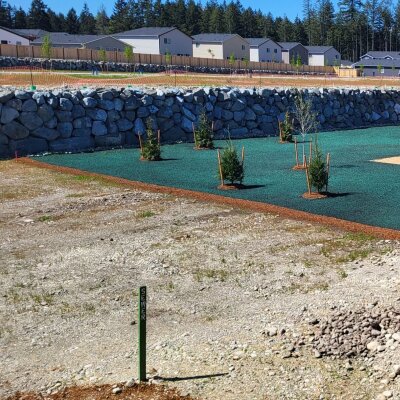 Hydroseeded lawn at new housing development with playground and retaining wall.