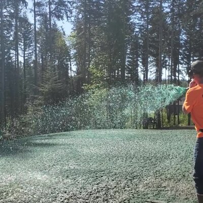 Worker hydroseeding a lawn with equipment in Washington state.