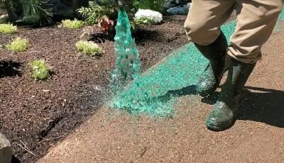 Worker hydroseeding lawn with green slurry in Washington State.