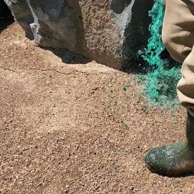 Worker applying hydroseed mixture to ground