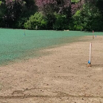 Hydroseeded lawn with exposed soil and trees in Washington state.