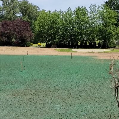 Freshly hydroseeded lawn with trees in background in Washington state.
