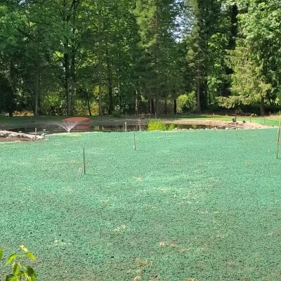 Freshly hydroseeded lawn with sprinkler in sunny Washington State park.