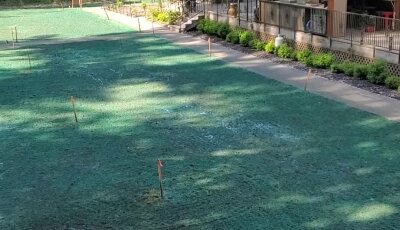 Freshly hydroseeded lawn with visible markers near residential area.