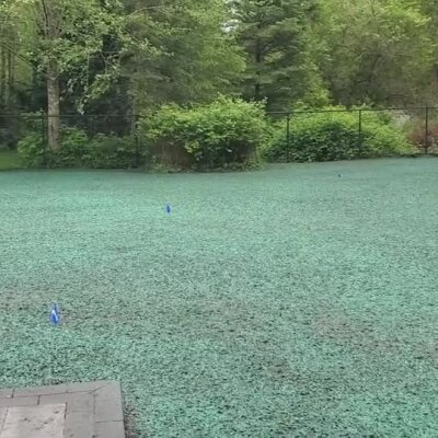 Freshly hydroseeded lawn area with green seed mulch in Washington State yard.