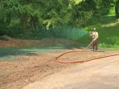 Worker spraying hydroseed on bare soil near roadside and trees in a Washington state location.