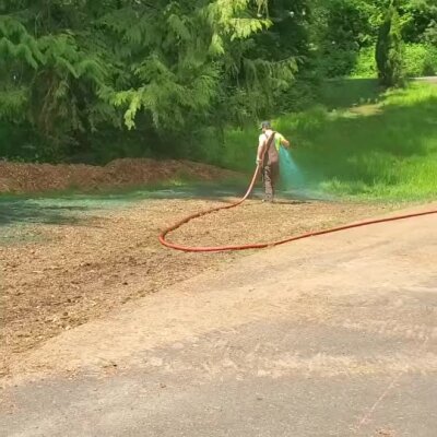 Worker spraying hydroseed mixture on soil near forest in Washington State.