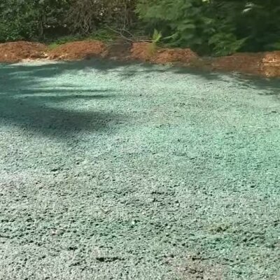 Fresh hydroseed application on a cleared, mulched area near trees.