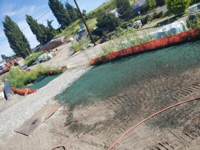 Fresh hydroseed application on commercial site slope near Seattle cruise ship facility.