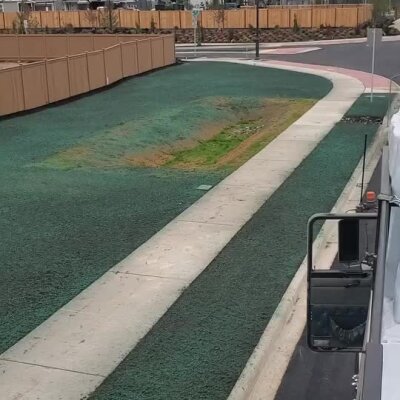 Freshly applied hydroseed lawn on commercial property near sidewalk and road.