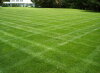 Neatly mowed lawn with pattern in front of white house.